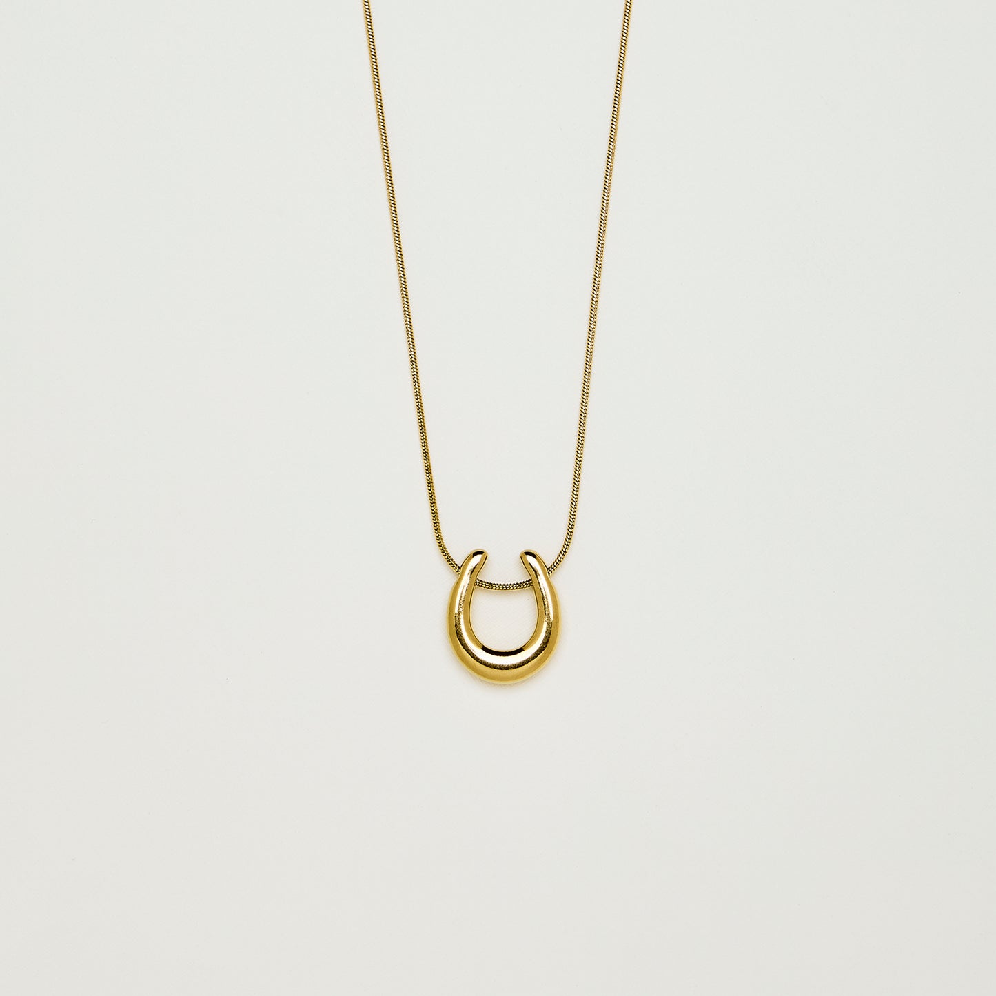 Horseshoe Necklace